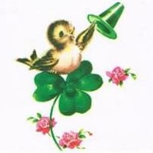 Meet your Posher, Janet